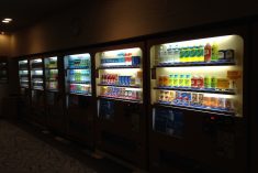 automat z napojami
