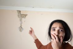 firmy oferujace detekcje wycieku wody