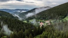 Lato pod parasolem - czyli jak pogoda zmienia sektor turystyczny w Polsce?