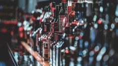 Prohibicja po polsku – alkohol pod prawną lupą