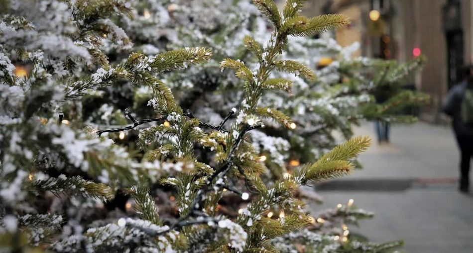 swiateczny-budzet-pod-kontrola