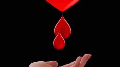 honorowi-dawcy-krwi-w-polsce-coraz-wiecej-benefitow-i-inicjatyw-edukacyjnych