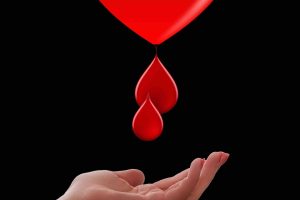 honorowi-dawcy-krwi-w-polsce-coraz-wiecej-benefitow-i-inicjatyw-edukacyjnych