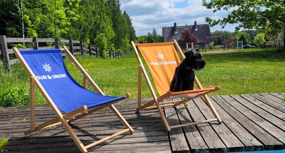 wakacje-z-psem-to-za-malo-sun-snow-ruszyl-z-psia-akademia-dla-opiekunow-i-przyjaciol-czworonogow